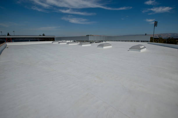 Best Sheet Metal Roofing  in Breinigsville, PA