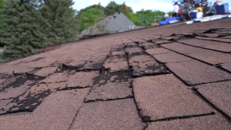 Best Gutter Installation and Repair  in Breinigsville, PA