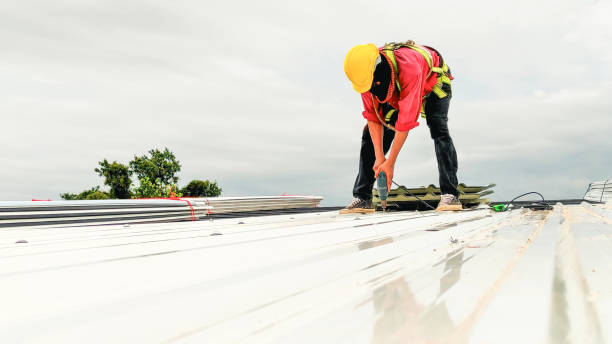 Best Skylight Installation and Repair  in Breinigsville, PA